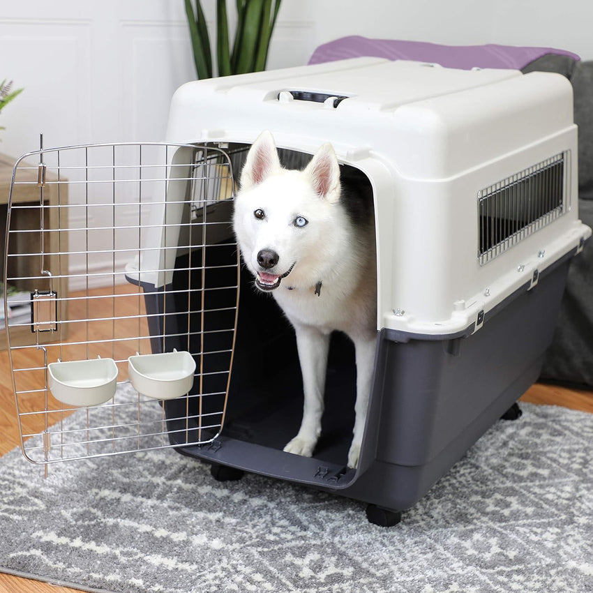 SportPet Designs Plastic Kennels Rolling Plastic Airline Approved Wire Door Travel Dog Crate. XXX-Large. Gray